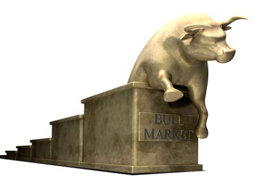 Bull